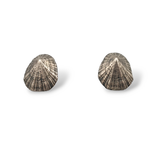 Silver limpet design earrings