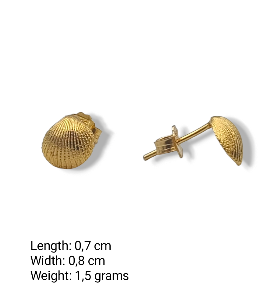 Gold Clam design earrings