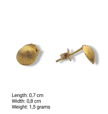 Gold Clam design earrings