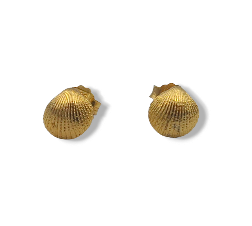 Gold Clam design earrings