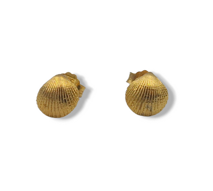 Gold Clam design earrings