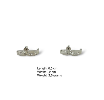 Silver Meander design matte and shiny earrings