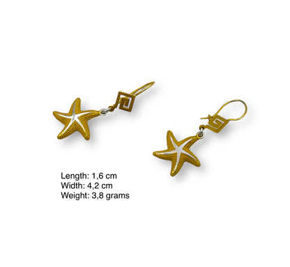 Silver two-toned Starfish and Meander design earrings