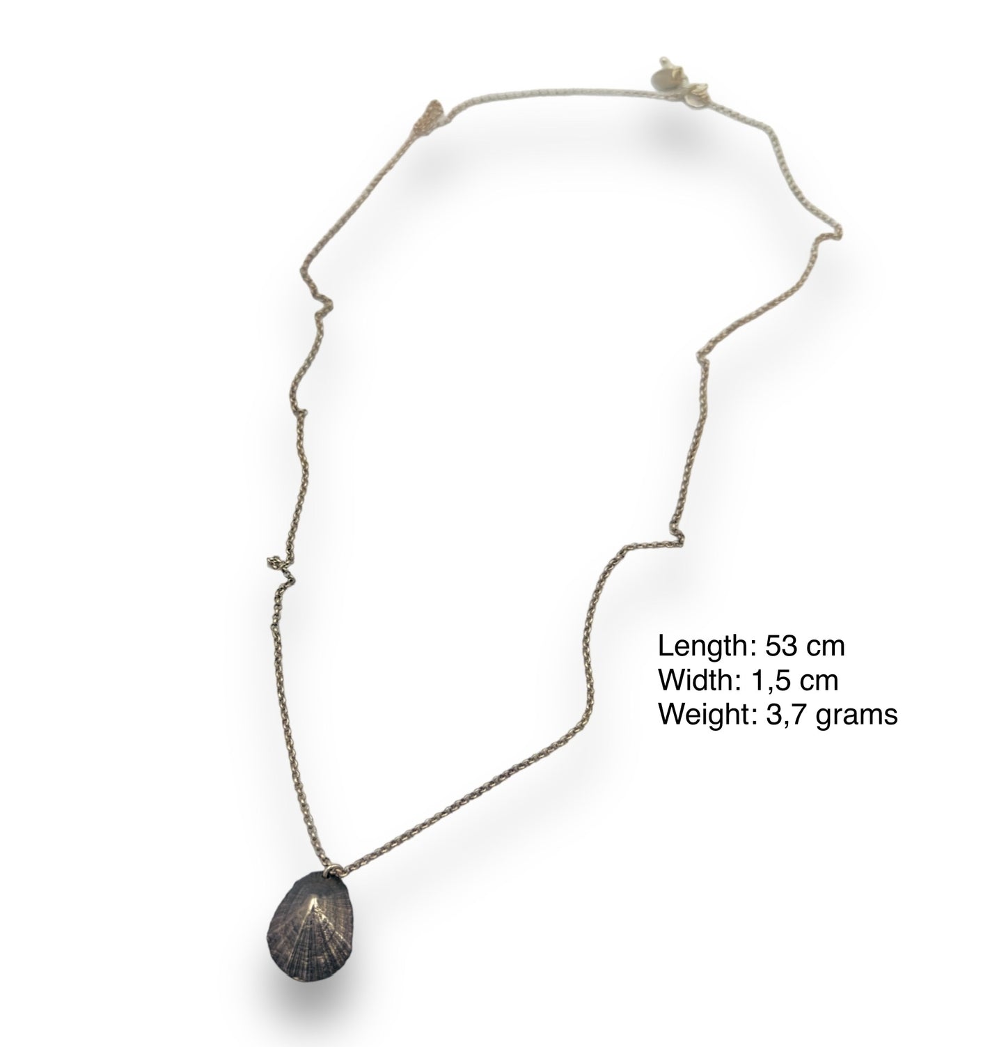 Silver limpet design necklace